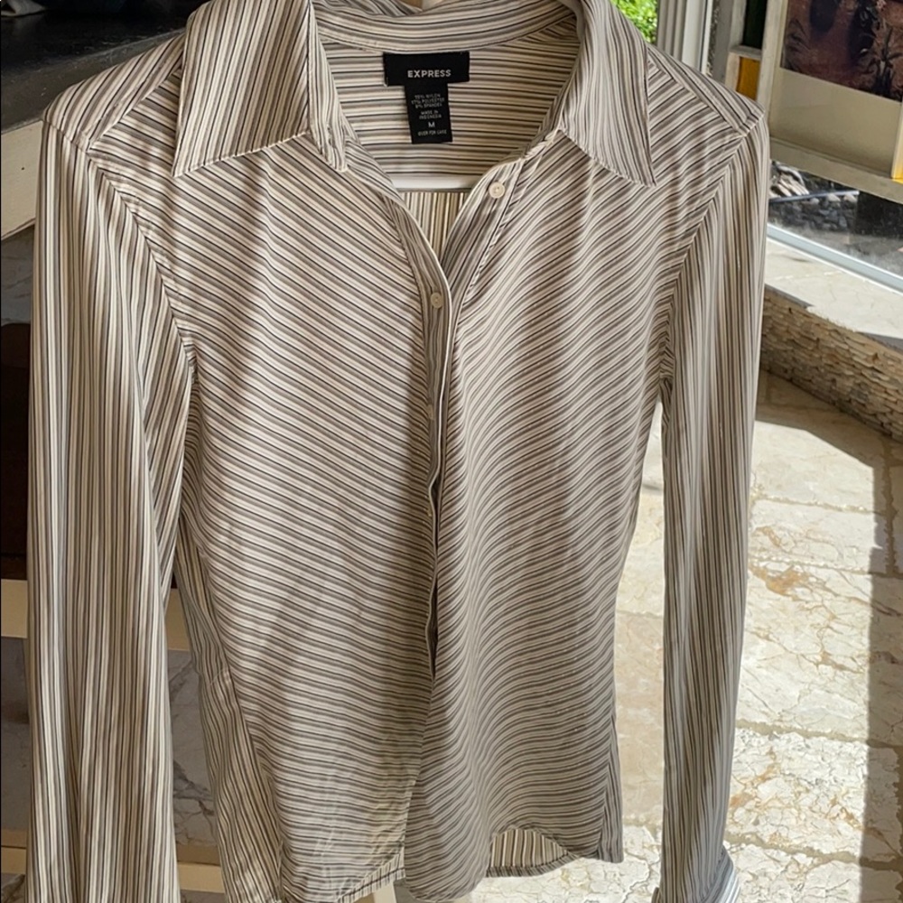 Express Button Down - image 1